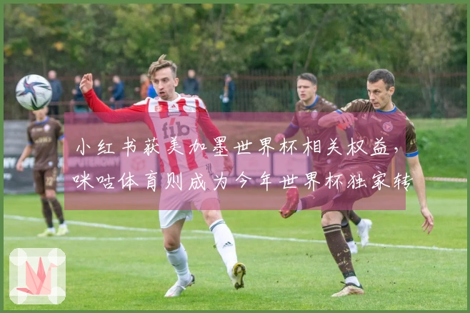 小红书获美加墨世界杯相关权益，咪咕体育则成为今年世界杯独家转播商