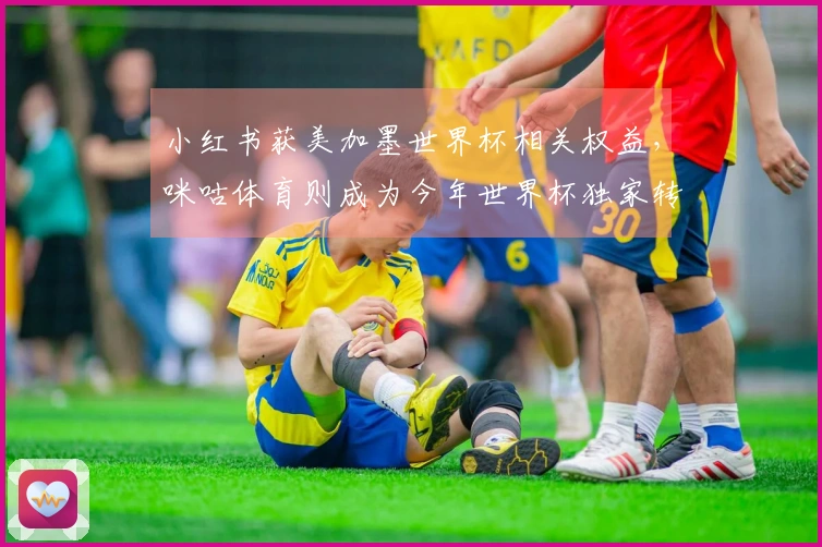 小红书获美加墨世界杯相关权益，咪咕体育则成为今年世界杯独家转播商
